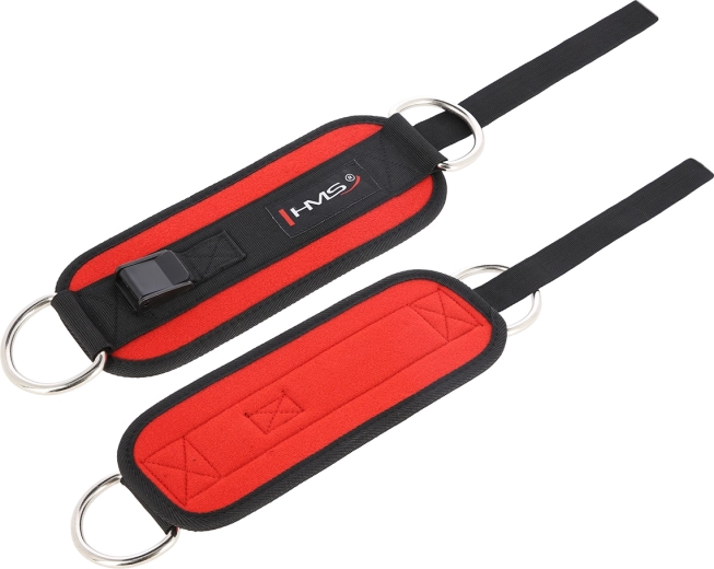 Stevige stalen D-ringen