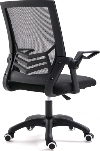 Ergonomische rugondersteuning