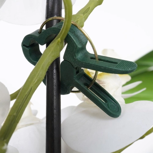 Snel en plantvriendelijk bevestigen