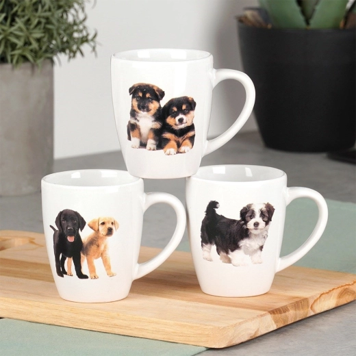 Zorgeloos onderhoud: vaatwasser en magnetron