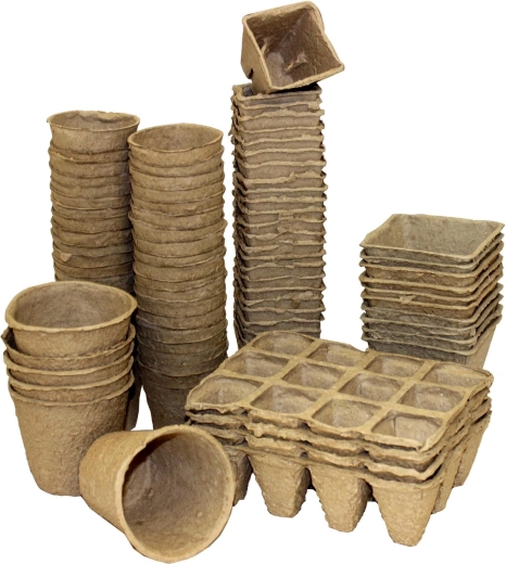 Optimale omgeving voor zaailingen