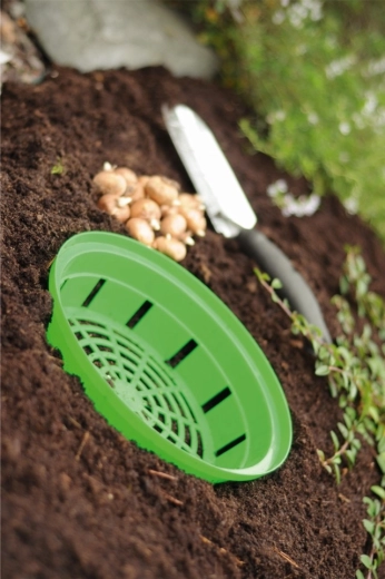 Eenvoudig uitnemen en verplanten