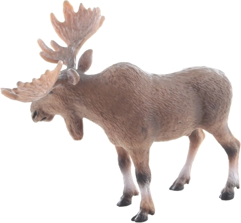 Ideaal formaat voor kleine handjes