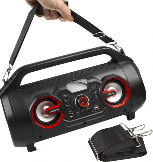 Karaoke met opname en 2 microfooningangen