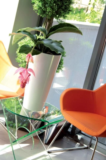 Stijlvolle aanvulling voor planten