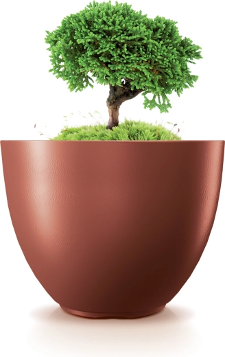 Ideaal voor kamer- en buitenplanten