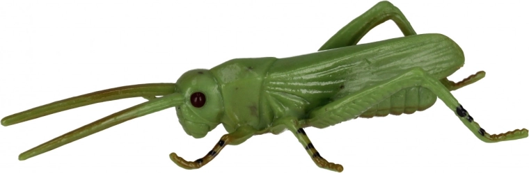 Duurzaam materiaal voor dagelijks spelen