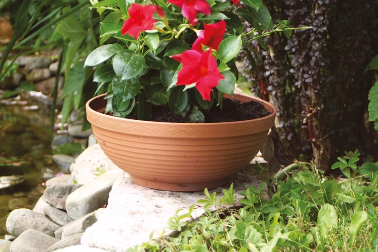 Decoratieve ribbeling en terracotta-uitstraling