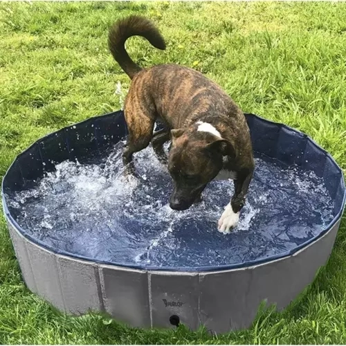 Universeel zwembad en bad voor de hond