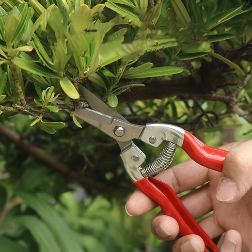 Veermechanisme voor moeiteloos knippen