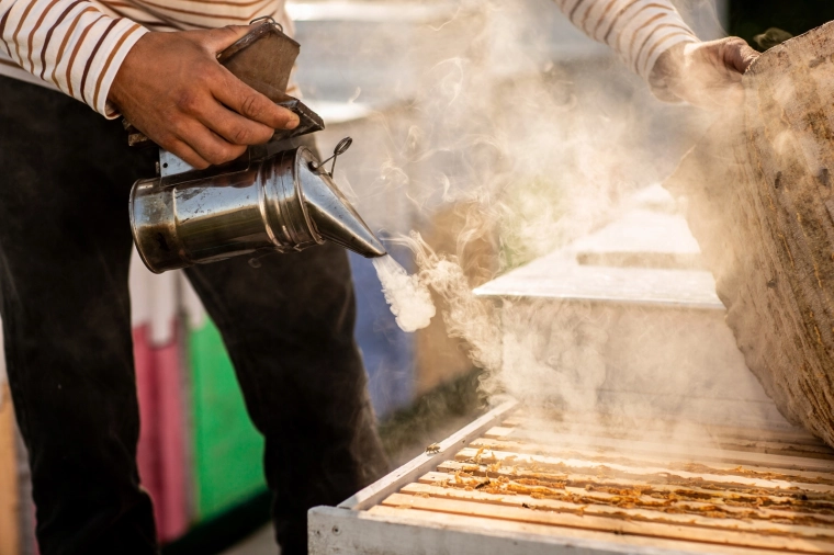 Precies kalmeren van bijen tijdens kastinspectie