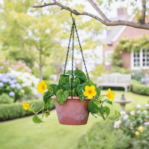 Ideale lengte voor hangplanten