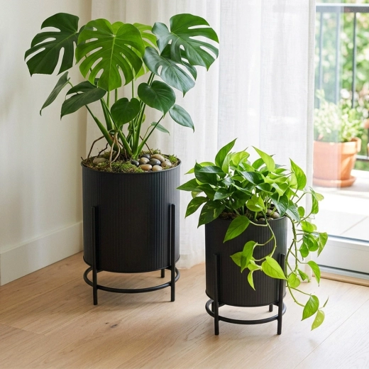 Geribbeld design en stabiele verhoging van planten