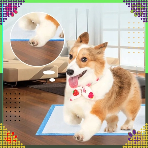 Groot formaat voor comfort en zekerheid