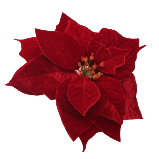 Elegante bordeaux voor een feestelijke sfeer