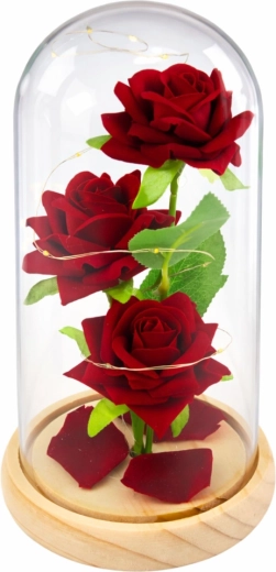 Elegante glazen koepel