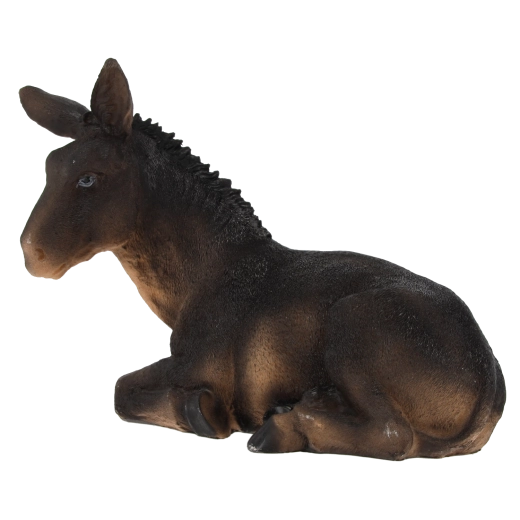 Realistische details en natuurlijke kleuren