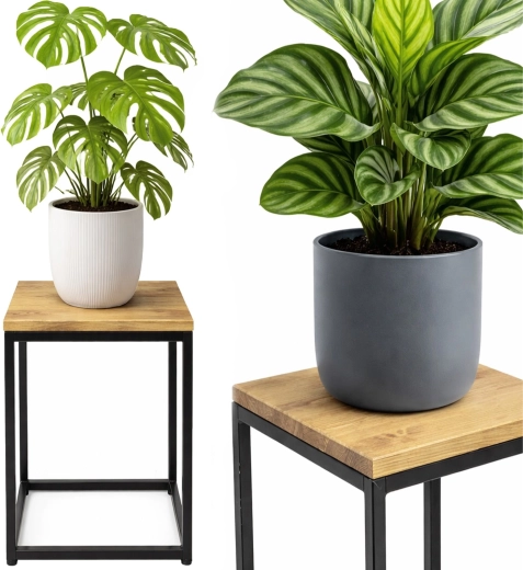 Plank in craftdecor voor planten en decoraties