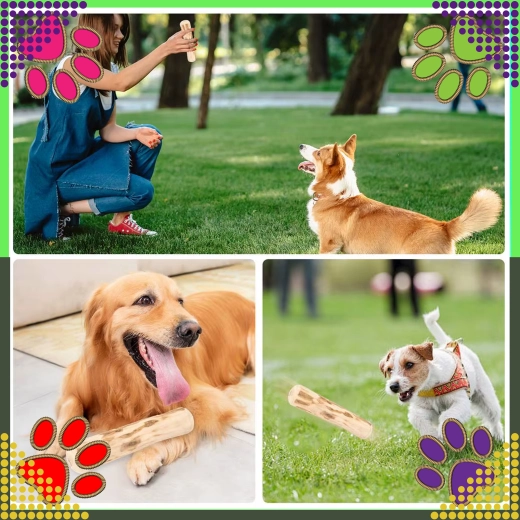 Natuurlijk houten kauwstok voor honden, duurzame speelgoed 20 × 3,5 cm