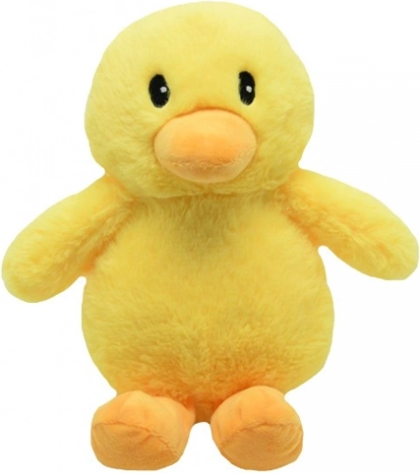 Pluchen Eend Grażynka 20 cm