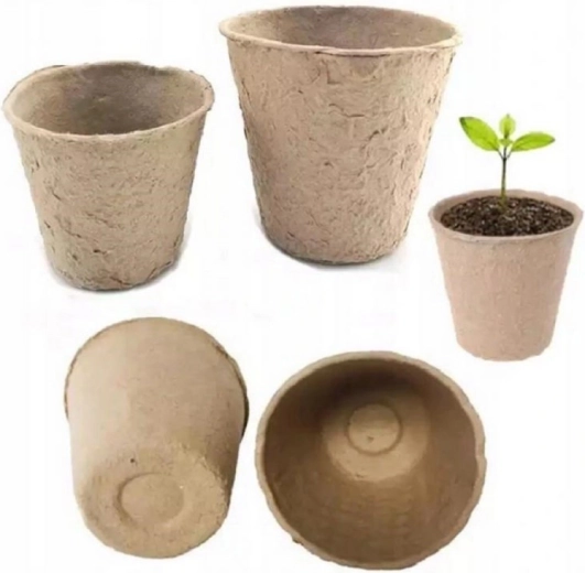 Gezond wortelstelsel