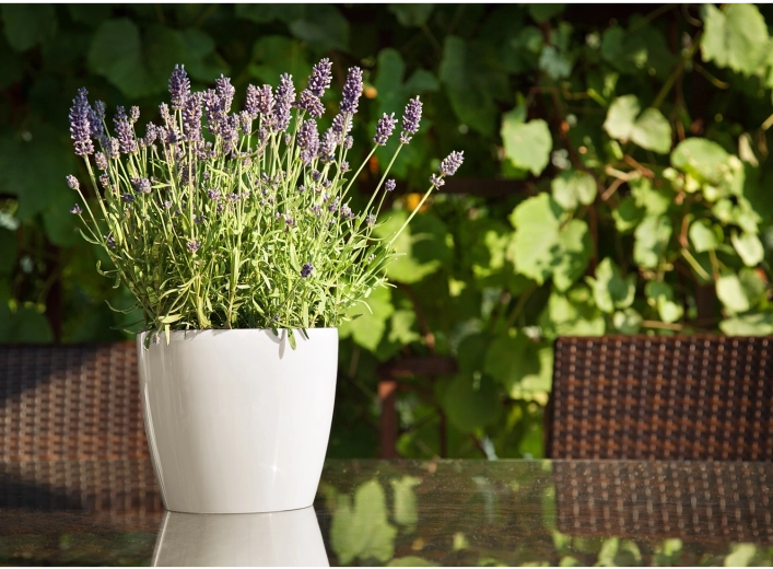 Geschikt voor binnen en buiten