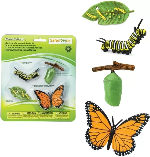 Safari Ltd. levenscyclus van de monarchvlinder