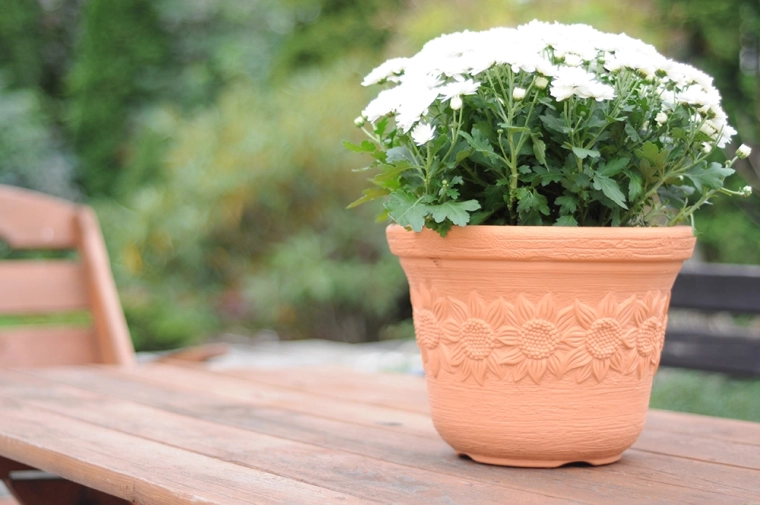 Voldoende ruimte voor beplanting