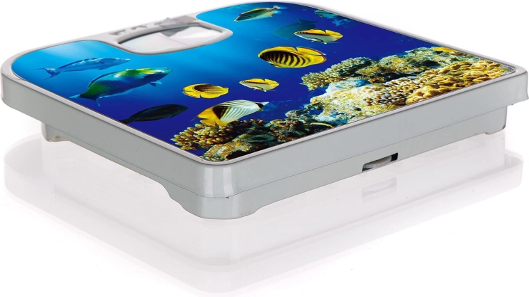 Stijlvolle onderwaterwereld-decoratie