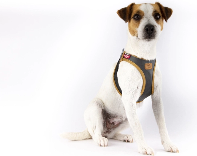 Comfort Fit ergonomie en veilige krachtdistributie