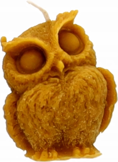 Levensechte uilendetails