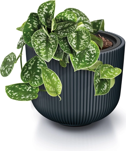 Modern geribd design dat overal opvalt