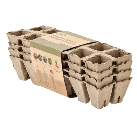 In totaal 40 cellen voor een zekere start van zaailingen