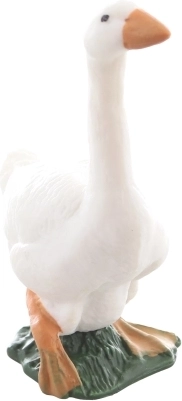 Compacte afmetingen en duurzaam plastic