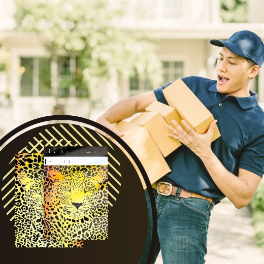 Stijlvol leoparddesign