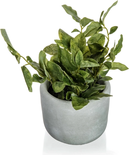 Realistisch groen zonder zorgen