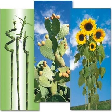 Gimi katoenen strijkplankhoes i love S/M 129 × 48 cm