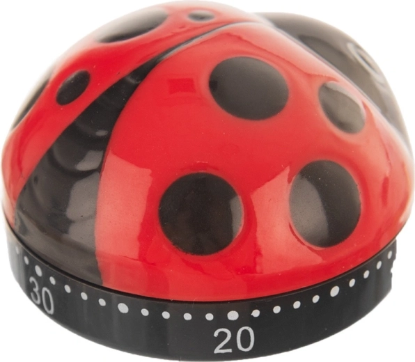 Vrolijk lieveheersbeestjesdesign