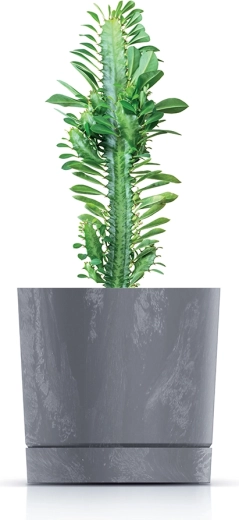 Modern betoneffect in crèmekleur