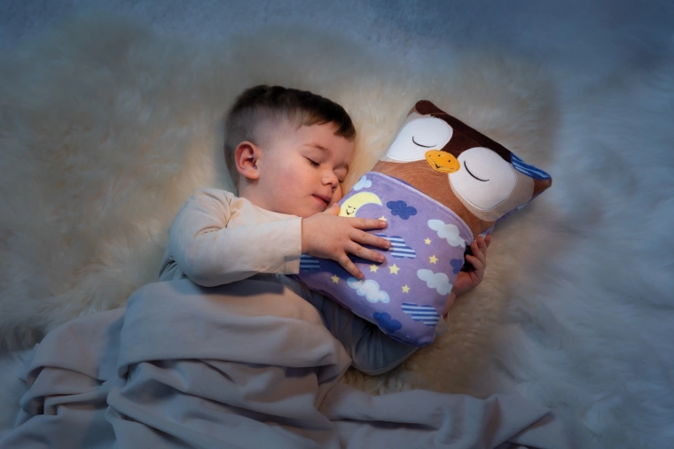 Zijdezacht knuffelkussentje