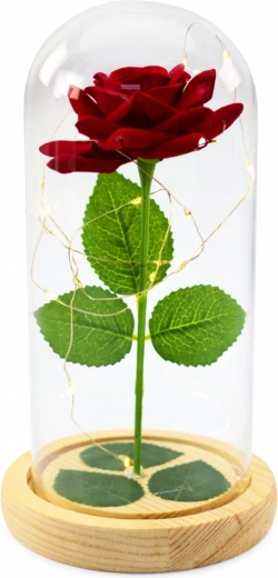 Elegante beschermende stolp