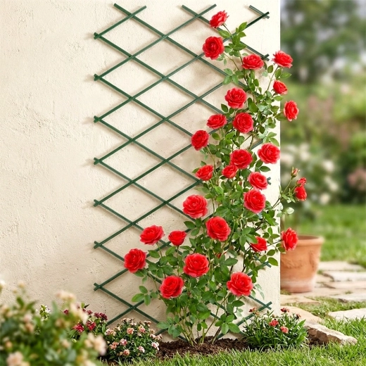 Elegante steun voor rozen en andere klimplanten