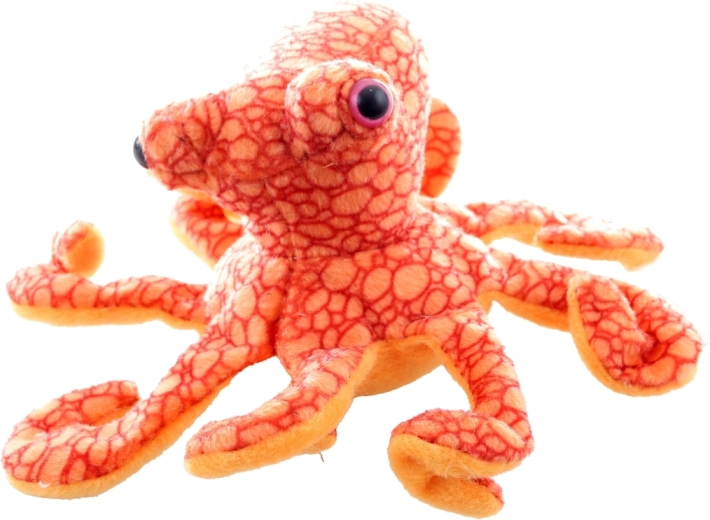 Veilig vanaf de geboorte (0+)