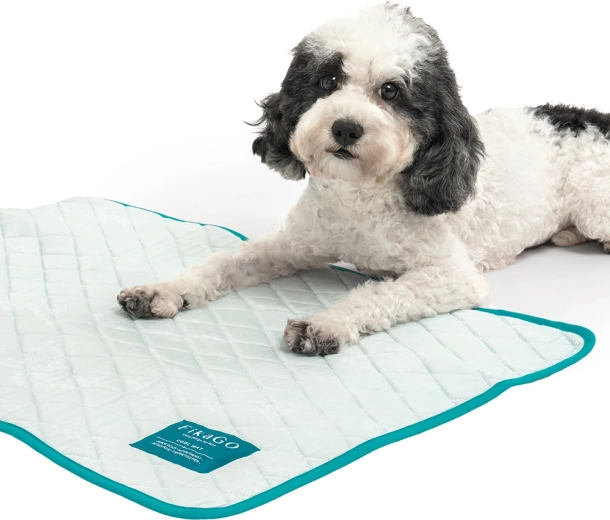 Licht, compact en klaar voor onderweg