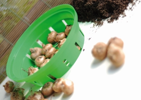 Bescherming tegen ongedierte en orde in de border