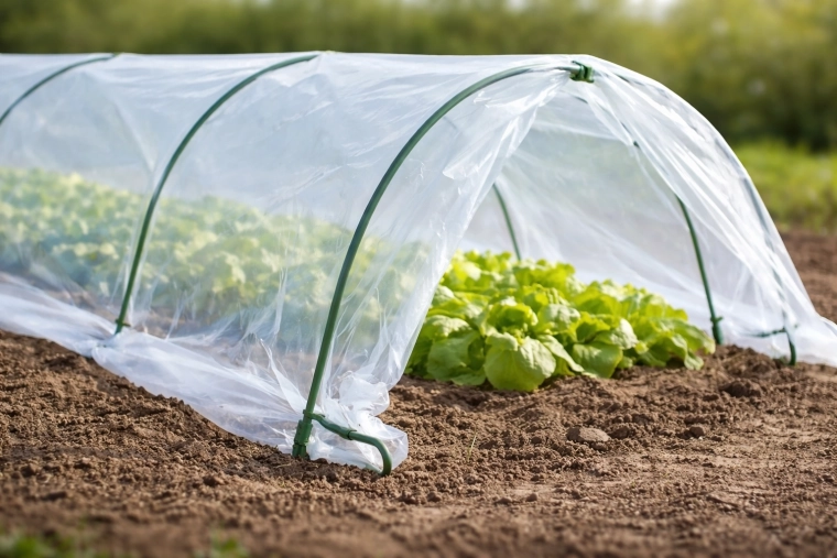 Warm microklimaat en bescherming de hele dag door