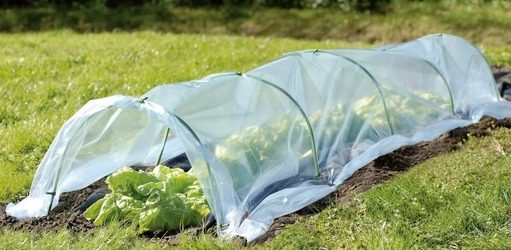 Creëert een ideaal microklimaat voor snellere groei