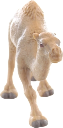 Ideaal formaat voor kinderhanden