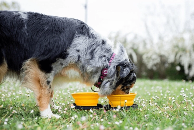 Snel overal te gebruiken
