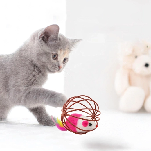 Veilige en duurzame constructie